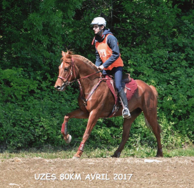 Basilic et Loic à Uzes  2017