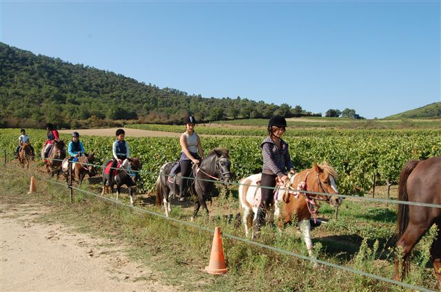 Randonnée dans le luberon